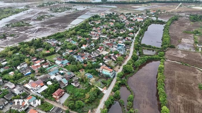 Theo các bậc cao niên, những hàng cây này có từ thuở khai canh lập làng, khoảng thế kỷ XIV-XV. (Ảnh: Mai Trang/TTXVN)