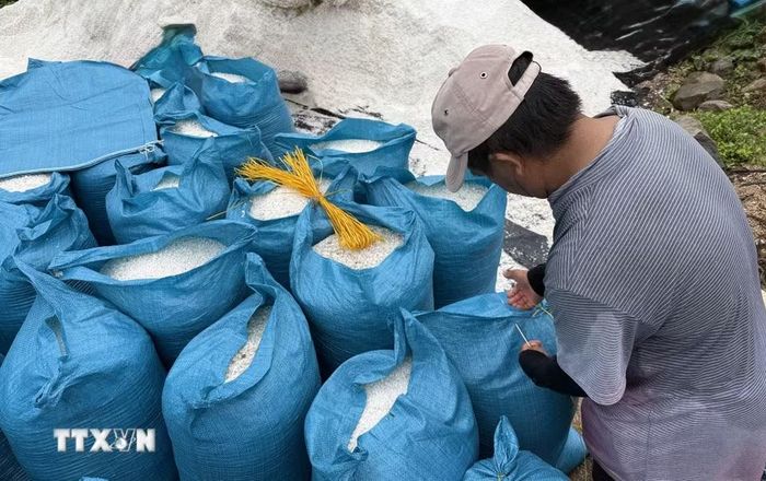 Đóng muối hạt vào bao để mang đi tiêu thụ. (Ảnh: Tường Quân/TTXVN)