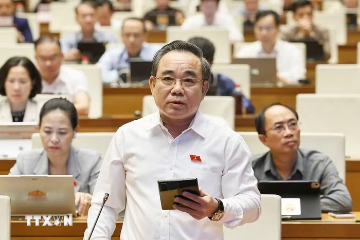 Đại biểu Quốc hội tỉnh Khánh Hòa Lê Hữu Trí phát biểu. (Ảnh: Doãn Tấn/TTXVN)