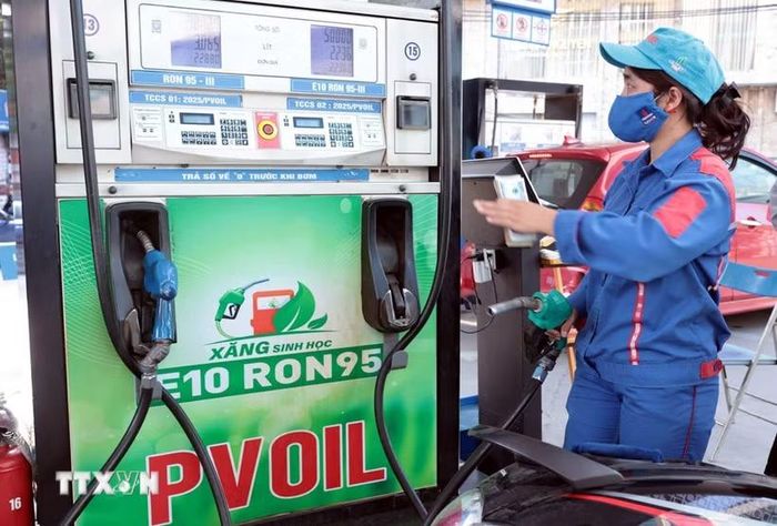 Giá xăng dầu đồng loạt tăng từ 15 giờ ngày 29/10. (Ảnh minh hoạ: Trần Việt/TTXVN)