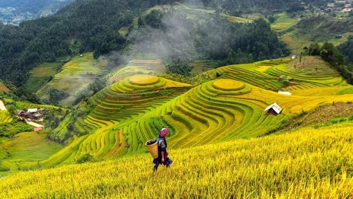 Ngắm cảnh thiên nhiên được 36% du khách lựa chọn là yếu tố mang lại sự hài lòng. (Ảnh minh họa: CTV/Vietnam+)