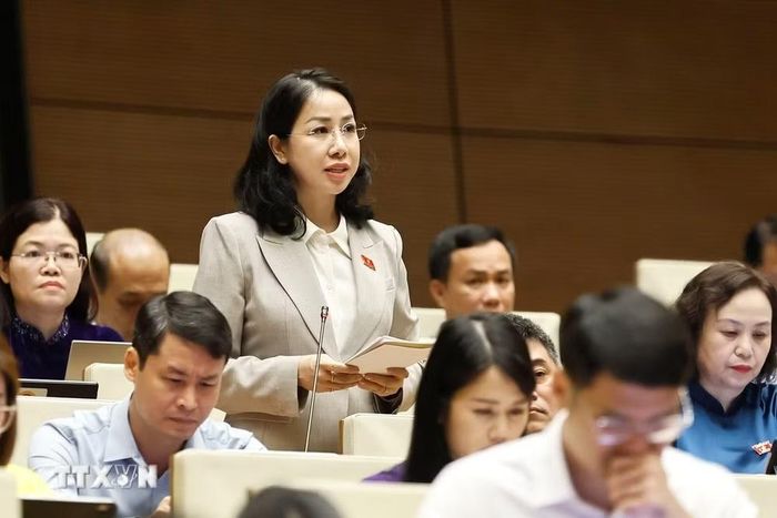 Đại biểu Quốc hội tỉnh Thanh Hoá Phan Thị Thùy Linh phát biểu. (Ảnh: Doãn Tấn/TTXVN)