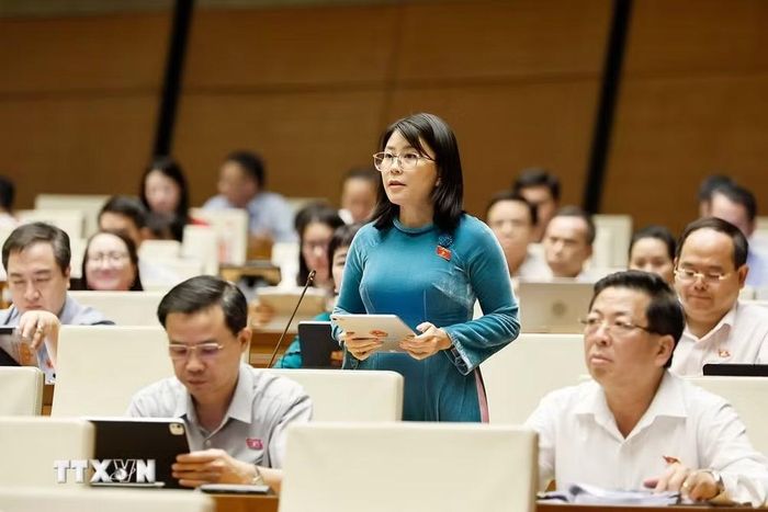 Đại biểu Quốc hội tỉnh Đắk Lắk Lê Đào An Xuân phát biểu. (Ảnh: Doãn Tấn/TTXVN)