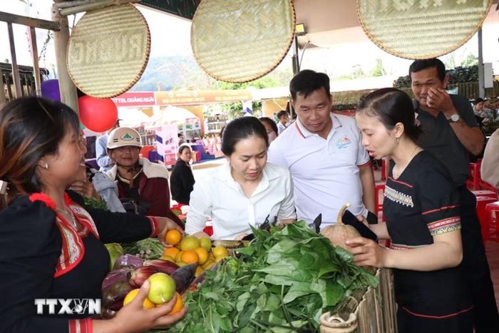 Du khách tham quan các gian hàng giới thiệu sâm Ngọc Linh tại lễ hội. (Ảnh: Cao Nguyên/TTXVN)