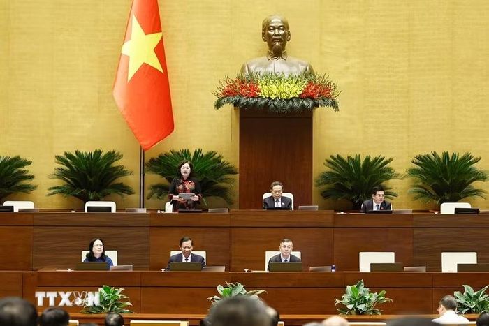 Phó Chủ tịch Quốc hội Nguyễn Thị Hồng phát biểu. (Ảnh: Doãn Tấn/TTXVN)