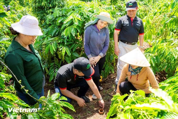 Tinh thần chung là chính sách hỗ trợ là trọng tâm, gắn kết chặt chẽ với các mục tiêu an sinh xã hội và ưu tiên những vùng kinh tế còn nhiều khó khăn. (Ảnh: Vietnam+)
