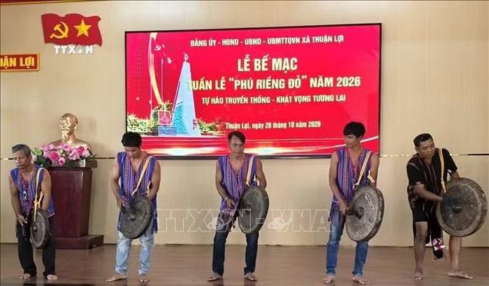 Câu lạc bộ Thực hành di sản văn hóa dân tộc S’tiêng xã Thuận Lợi biểu diễn đánh cồng chiêng. Ảnh: K GỬIH/TTXVN