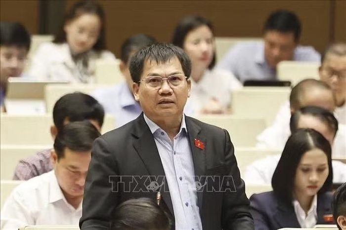 Đại biểu Quốc hội tỉnh Lâm Đồng Dương Khắc Mai phát biểu. Ảnh: Doãn Tấn/TTXVN