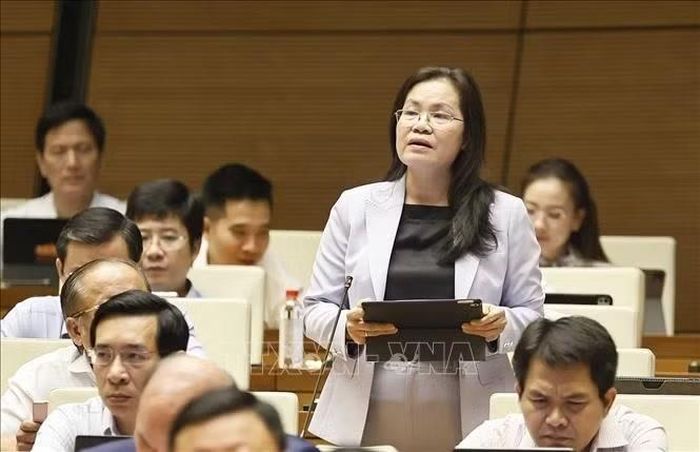 Đại biểu Quốc hội Thành phố Hồ Chí Minh Nguyễn Thị Hồng Hạnh phát biểu. Ảnh: Doãn Tấn/TTXVN