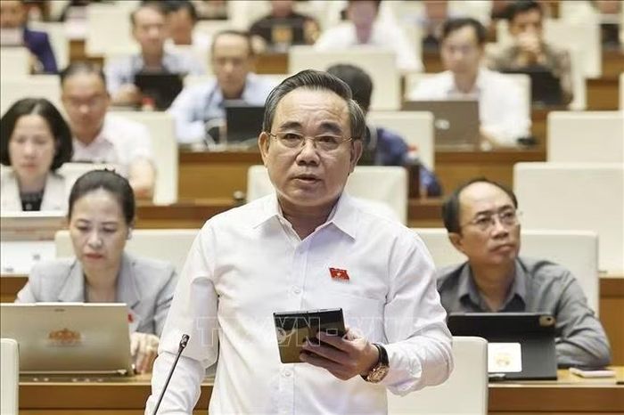 Đại biểu Quốc hội tỉnh Khánh Hòa Lê Hữu Trí phát biểu. Ảnh: Doãn Tấn/TTXVN
