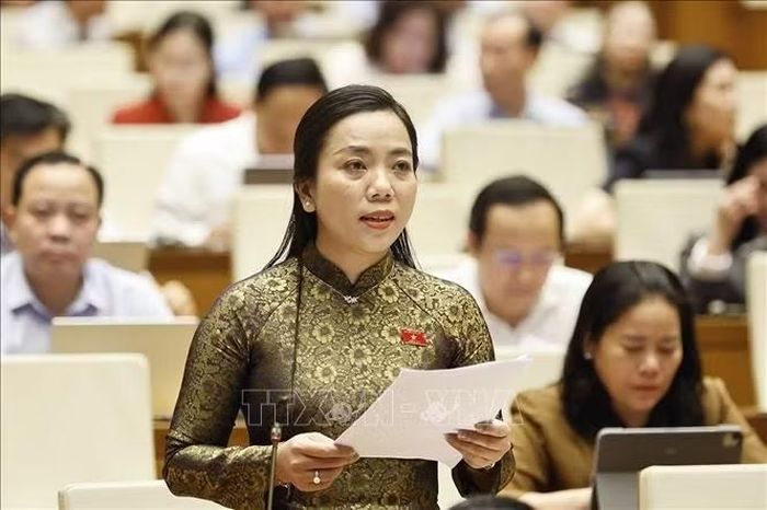 Đại biểu Quốc hội TP Cần Thơ Triệu Thị Ngọc Diễm phát biểu. Ảnh: Doãn Tấn/TTXVN