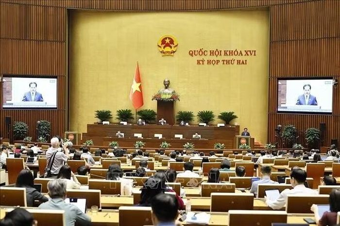 Bộ trưởng Bộ Nông nghiệp và Môi trường Trịnh Việt Hùng phát biểu giải trình, làm rõ một số vấn đề đại biểu Quốc hội nêu. Ảnh: Doãn Tấn/TTXVN