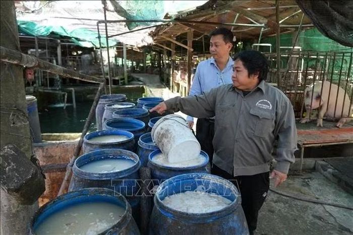 Các nguyên liệu sử dụng gồm bột gạo, bột năng, khô đậu nành và một số phụ phẩm khác để pha trộn làm thức ăn cho lợn.