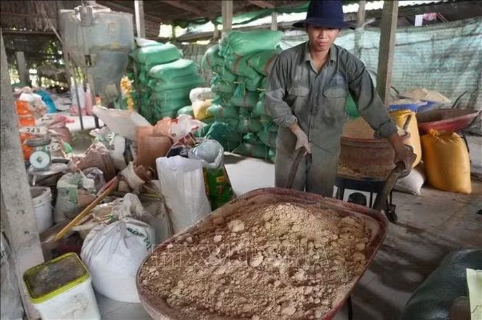 Trang trại nuôi lợn của bà Nguyễn Thị Kim Phượng chủ động phối trộn thức ăn từ các nguyên liệu, phụ phẩm phù hợp nhằm tiết giảm chi phí đầu vào.