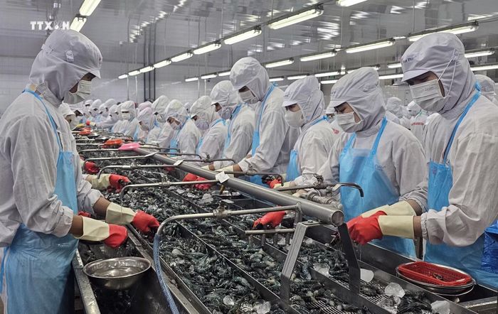 Hiệp định VIFTA tạo tiền đề thuận lợi để Việt Nam thúc đẩy xuất khẩu những mặt hàng thế mạnh sang Israel.