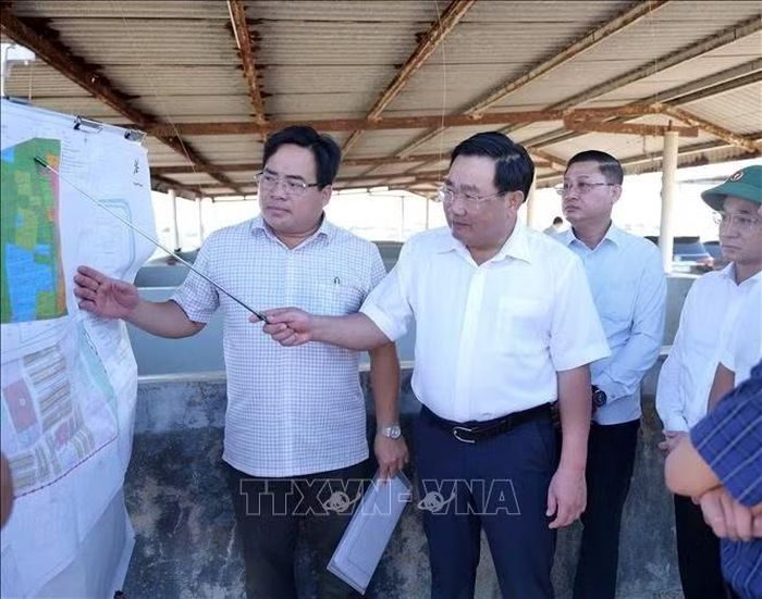 Ông Trịnh Minh Hoàng, Phó Chủ tịch UBND tỉnh Khánh Hòa, kiểm tra tiến độ thi công các dự án thành phần thuộc dự án Nhà máy Điện hạt nhân Ninh Thuận 1 (xã Phước Dinh).