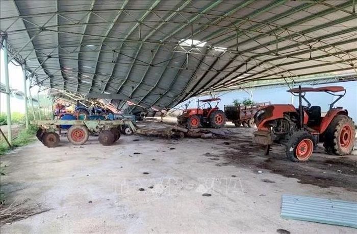 Tài sản phương tiện, ô tô của Công ty Cổ phần Chăn nuôi Bình Hà được đem ra đấu giá. Ảnh: Công Tường/TTXVN