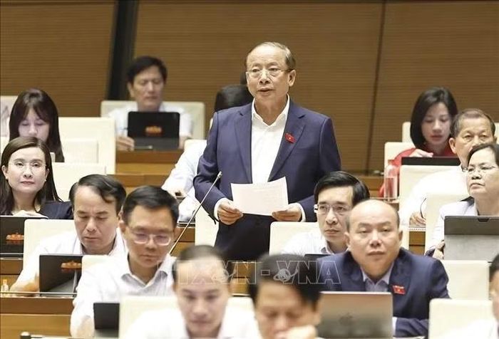 Đại biểu Quốc hội Thành phố Hồ Chí Minh Nguyễn Văn Thân phát biểu. Ảnh: Doãn Tấn/TTXVN