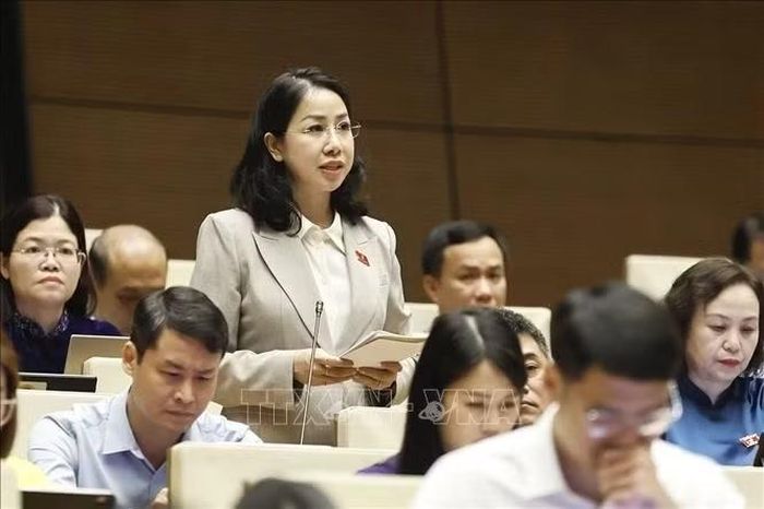 Đại biểu Quốc hội tỉnh Thanh Hoá Phan Thị Thùy Linh phát biểu. Ảnh: Doãn Tấn/TTXVN