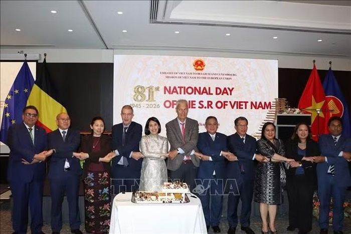 Đại sứ Nguyễn Hương Trà (thứ 5, trái sang) cùng các đại biểu nắm tay theo phong cách ASEAN tại lễ kỷ niệm, thể hiện tinh thần đoàn kết và hữu nghị. Ảnh: Duy Tùng/PV TTXVN tại Bỉ