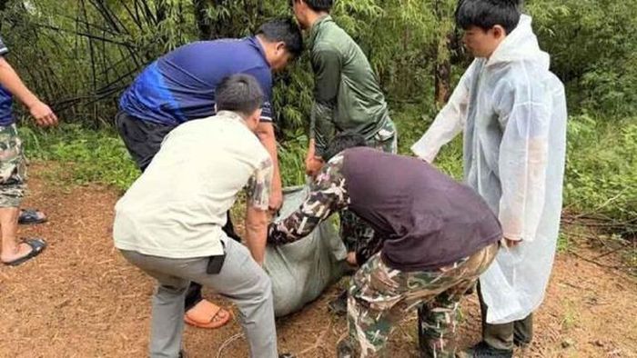 Người dân bắt được trăn khủng. Ảnh: Khaosod.