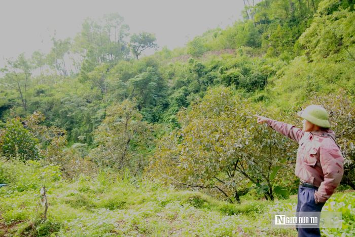 Theo ông Tăng, chưa bao giờ vùng này chịu cảnh mất mùa nặng nề đến vậy.