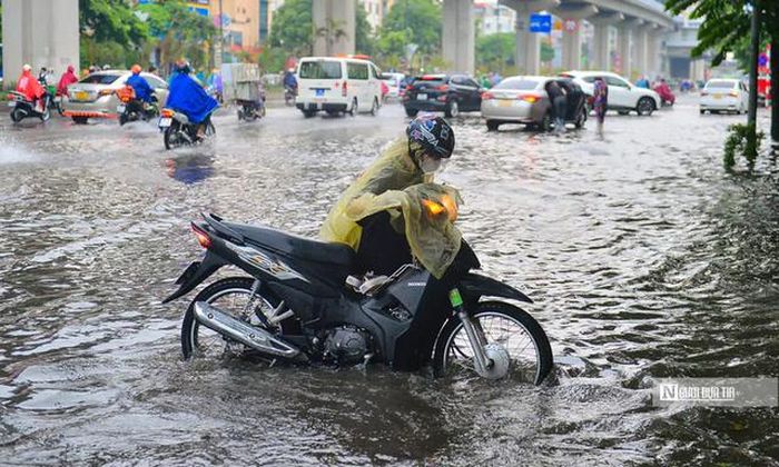 Ảnh minh họa