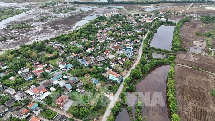 Theo các bậc cao niên, những hàng cây này có từ thuở khai canh lập làng, khoảng thế kỷ XIV-XV. Ảnh: Mai Trang - TTXVN