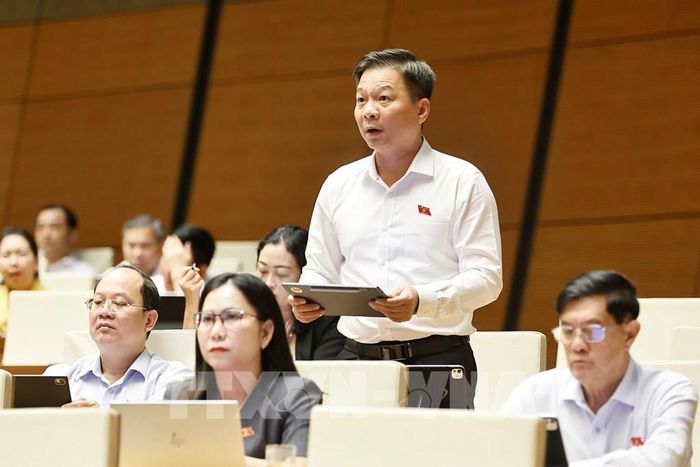 Đại biểu Quốc hội tỉnh Cà Mau Nguyễn Bình Tân phát biểu. Ảnh: Doãn Tấn - TTXVN