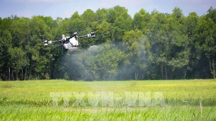 Máy bay không người lái (UAV) thực hiện phun thuốc bảo vệ thực vật trên đồng ruộng tại xã Hòa Hội, tỉnh Tây Ninh. Ảnh: Minh Phú - TTXVN