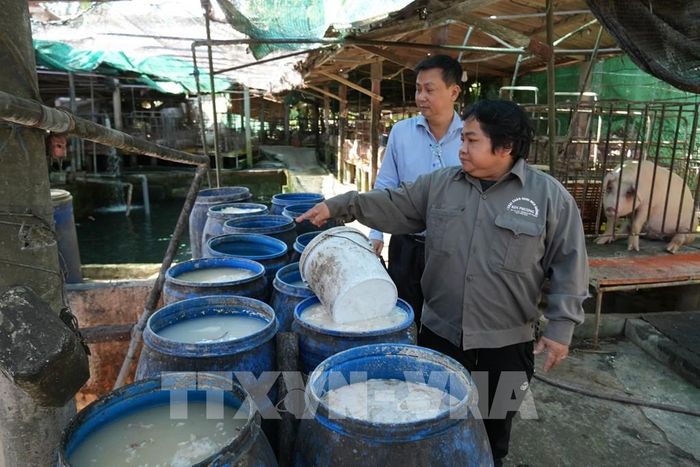 Các nguyên liệu sử dụng gồm bột gạo, bột năng, khô đậu nành và một số phụ phẩm khác để pha trộn làm thức ăn cho lợn. Ảnh: Công Trí - TTXVN