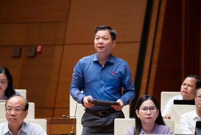 Đại biểu Nguyễn Bình Tân (đoàn Cà Mau) phát biểu