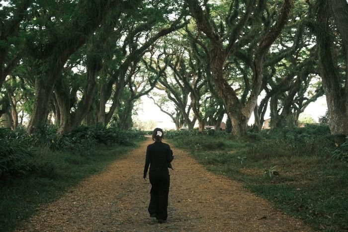 De Djawatan Forest gây ấn tượng với hàng trăm cây cổ thụ khổng lồ, tán cây xòe rộng cùng những thân cây phủ rêu, tạo nên khung cảnh huyền bí như khu rừng bước ra từ truyện cổ tích