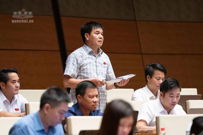 Đại biểu Nguyễn Hữu Toàn (Đoàn đại biểu Quốc hội tỉnh Lai Châu).