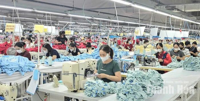 Công ty TNHH IVORY Triệu Sơn duy trì nhịp độ sản xuất khẩn trương để đáp ứng các đơn hàng dệt may cuối năm.