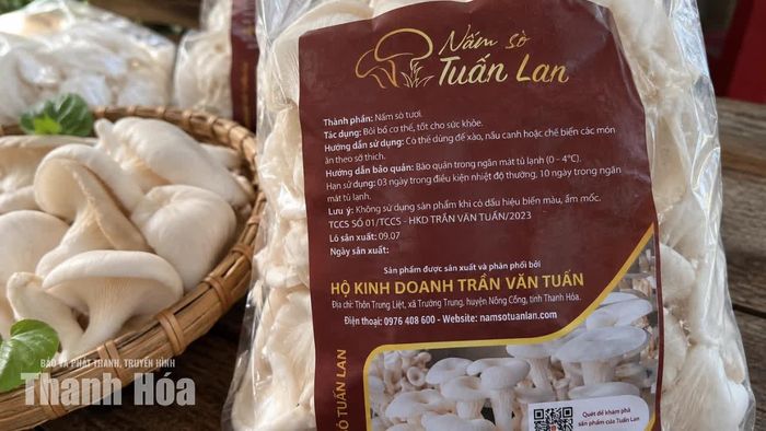 Sản phẩm nấm sò Tuấn Lan được đầu tư bao bì, nhãn mác, nâng cao nhận diện thương hiệu.