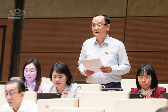 Đại biểu Nguyễn Ngọc Sơn phát biểu ý kiến tại phiên thảo luận. Ảnh:quochoi.vn