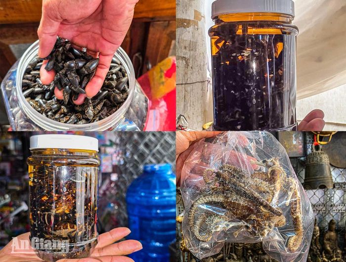 Những đặc sản khô, ngâm rượu được bày bán tại chợ Tịnh Biên.