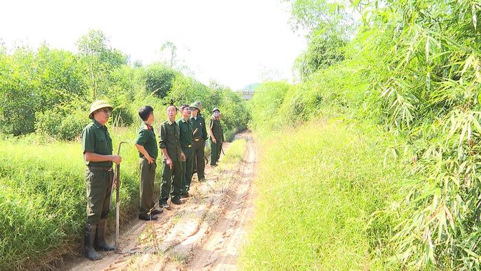  Cựu chiến binh xã Tuấn Đạo tích cực trồng, chăm sóc tre chống sạt lở bờ sông, suối. 