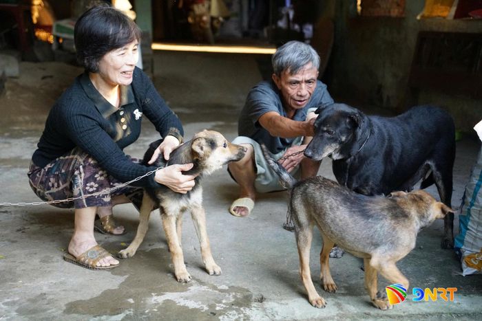 Người dân được khuyến khích quản lý vật nuôi, không thả rông chó và thực hiện tiêm phòng dại định kỳ. Ảnh: TRÂM ANH