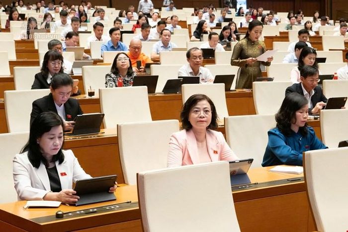 Các ĐBQH tham dự phiên họp.