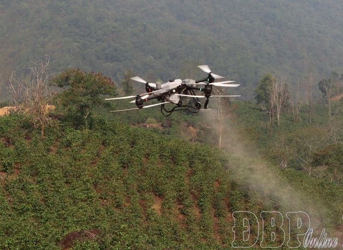 Xã Mường Ảng thử nghiệm áp dụng UAV bón phân qua lá cho cây cà phê.