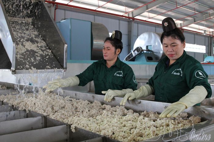 Việc đầu tư nhà máy chế biến mủ cao su, nên giá trị cao su tăng đáng kể.