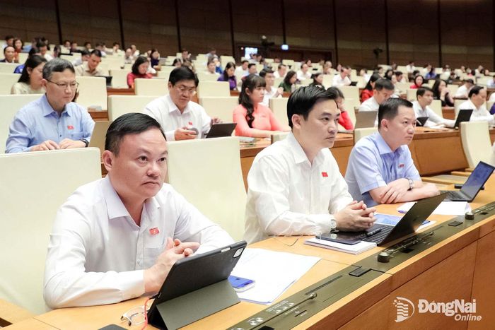 Các đại biểu Quốc hội thành phố Đồng Nai tham dự phiên thảo luận tại hội trường. Ảnh: CTV