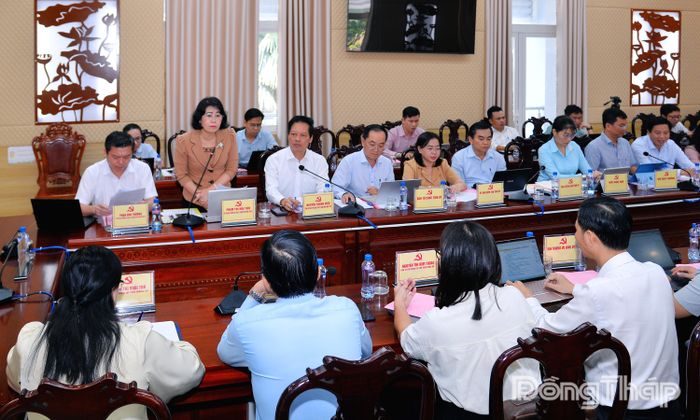 Đồng chí Phạm Thị Mai Tiên, Ủy viên Ban Thường vụ Tỉnh ủy, Chánh Văn phòng Tỉnh ủy phát biểu tại buổi làm việc.