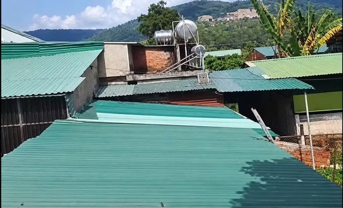 Khu vực chăn nuôi heo của gia đình bà Mừng gây hôi thối. Ảnh: CTV