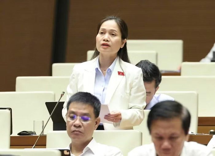 Phó Trưởng đoàn chuyên trách Đoàn ĐBQH tỉnh Gia Lai Siu Hương đề nghị bổ sung 4 nhóm tiêu chí để xác định dự án phát triển kinh tế - xã hội vì lợi ích quốc gia, công cộng. Ảnh: Đoàn ĐBQH tỉnh Gia Lai
