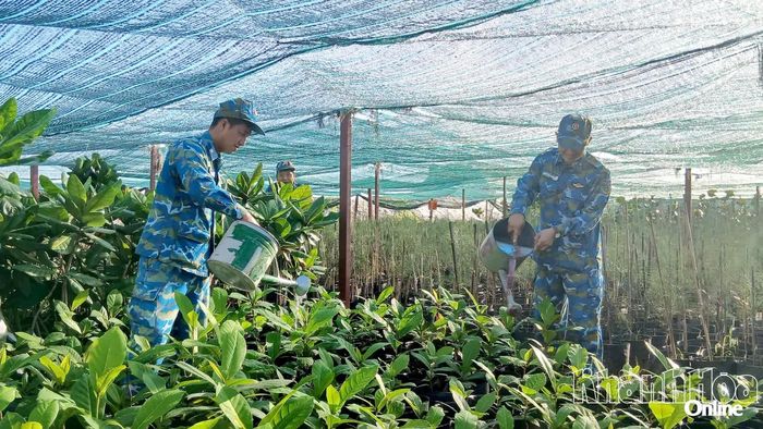 Vườn ươm cây xanh của Trạm ra đa 57