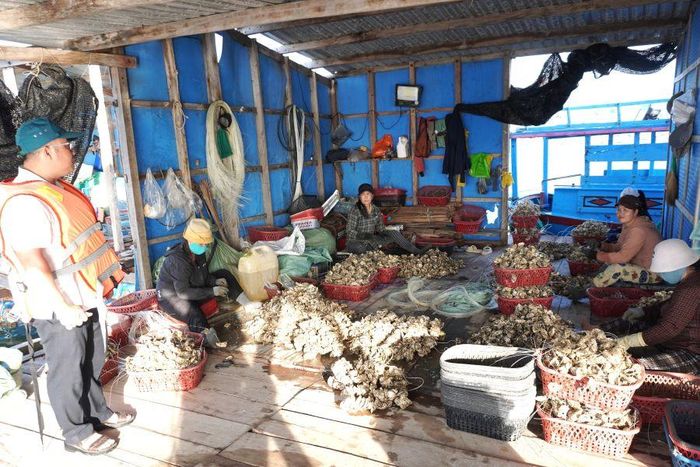 Đại diện tổ công tác UBND xã Vạn Ninh vận động hộ dân nuôi trồng thủy sản khẩn trương thực hiện di dời lồng bè.