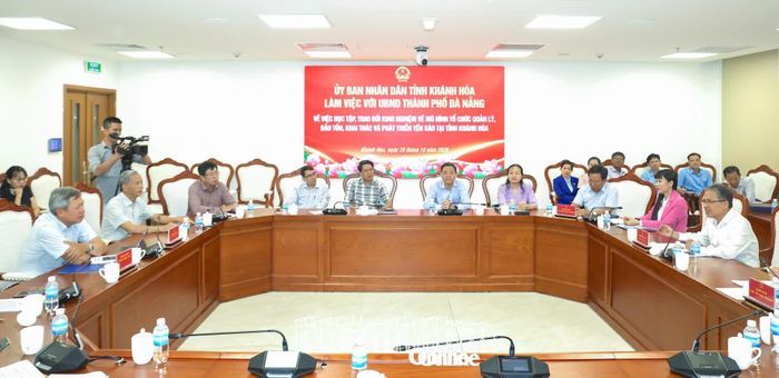 Quang cảnh buổi làm việc.